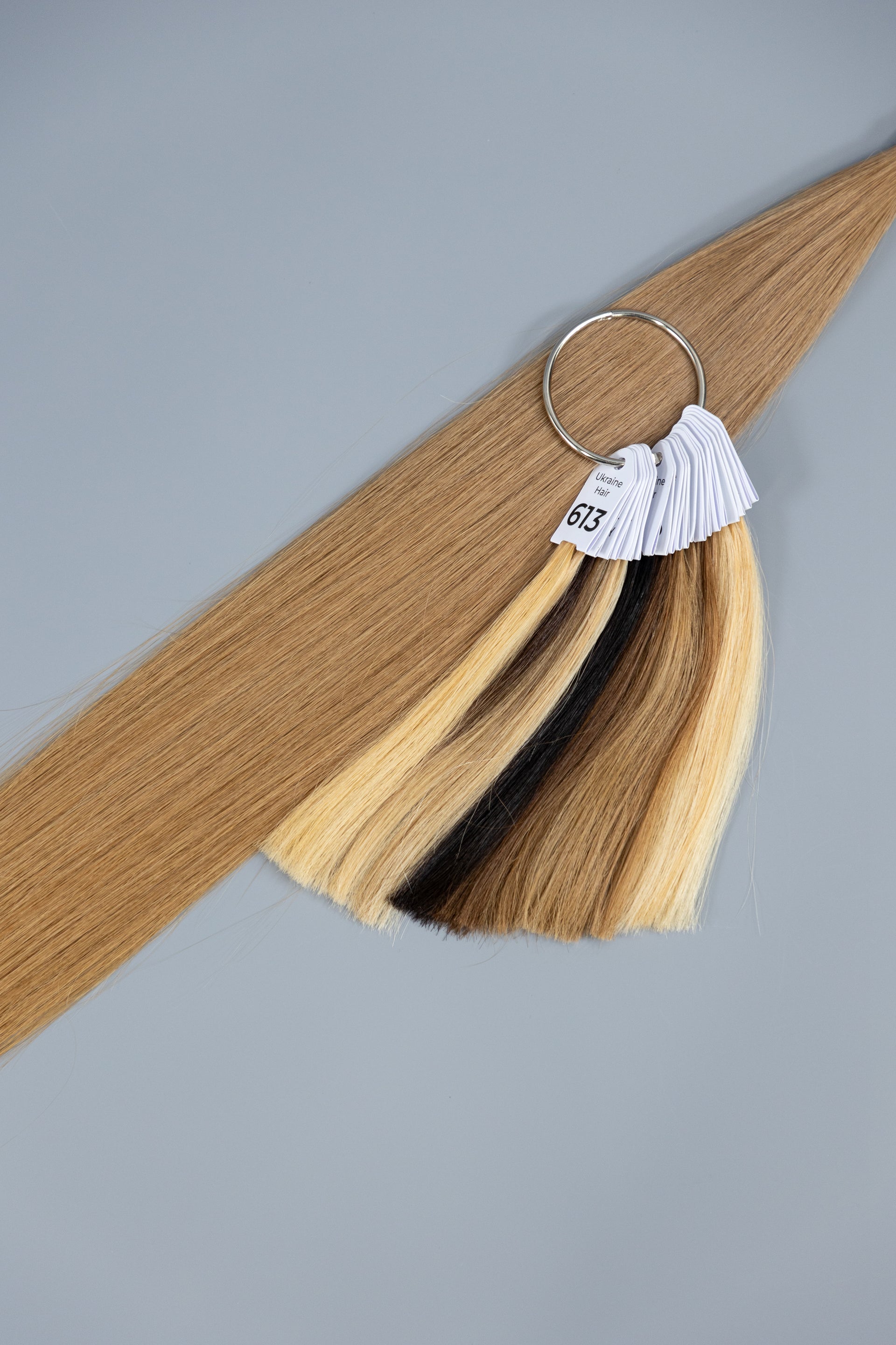 #12 (Rye Blond) European Virgin Remy Human Hair, Bulk