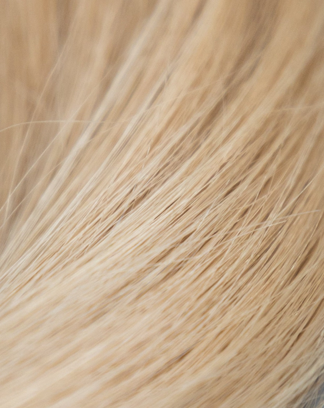 100% Remy european virgin hair extensions bulk