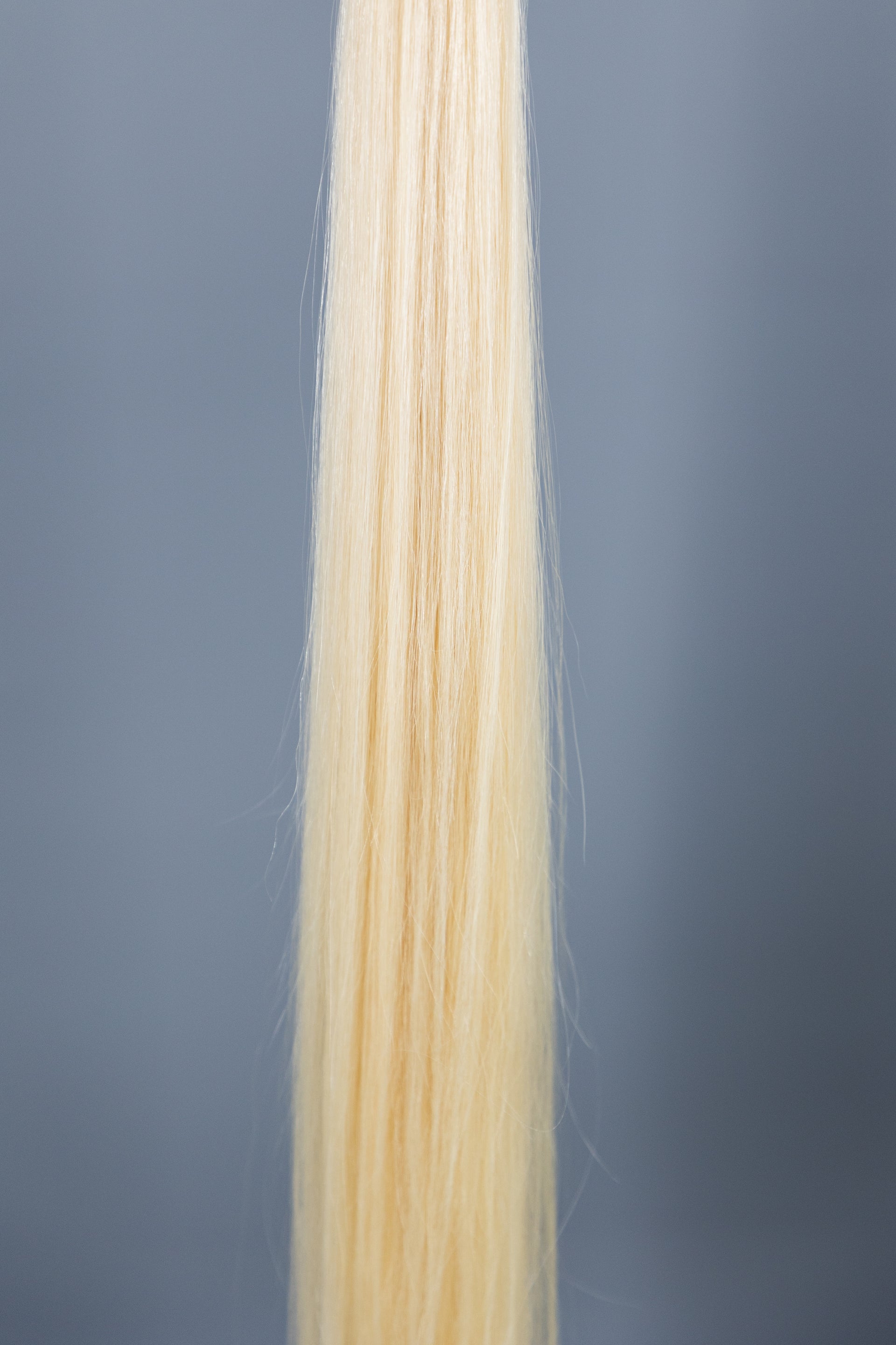 #60 (Blond) European Virgin Remy Human Hair, Bulk