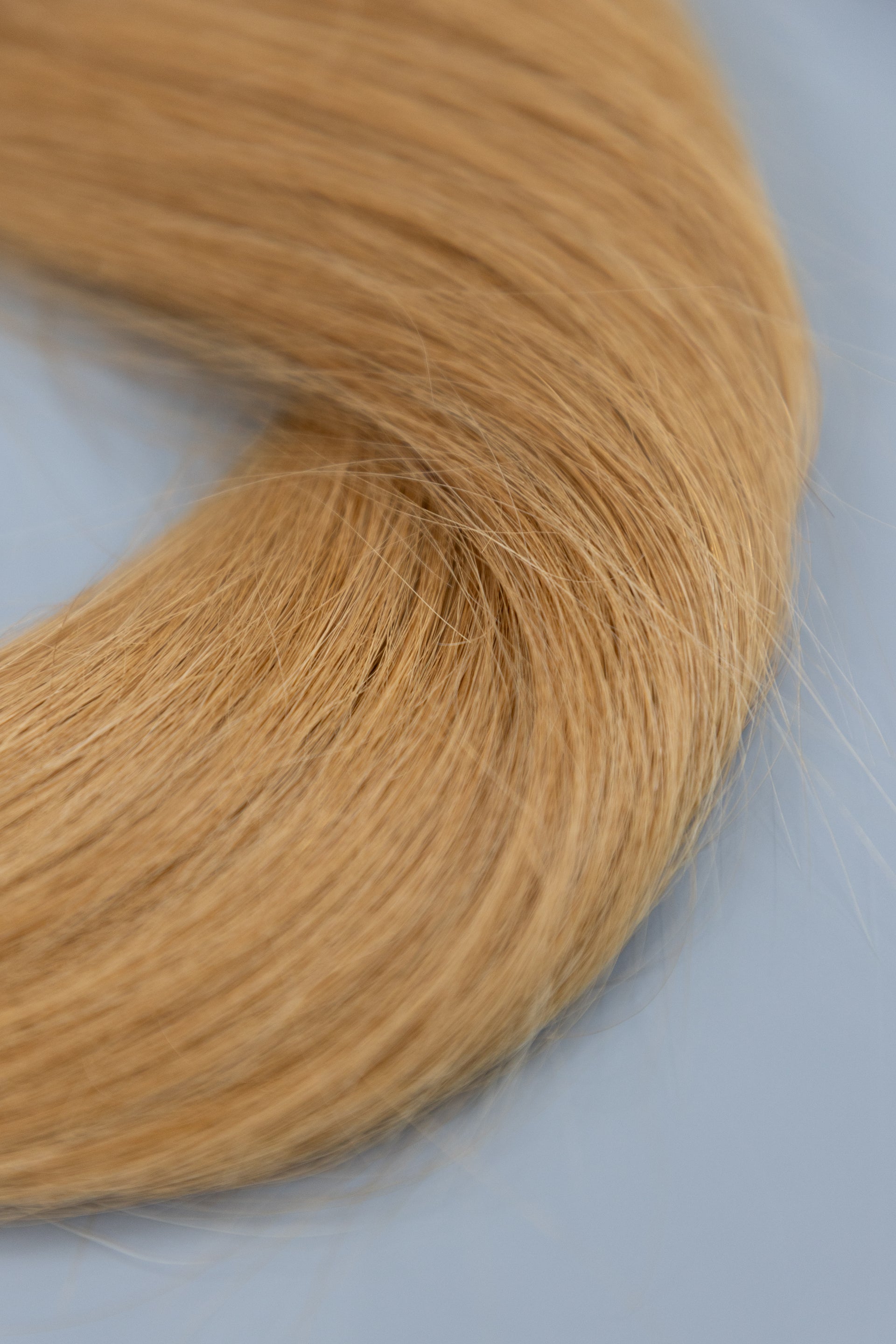 #9 (Honey Blond) European Virgin Remy Human Hair, Bulk