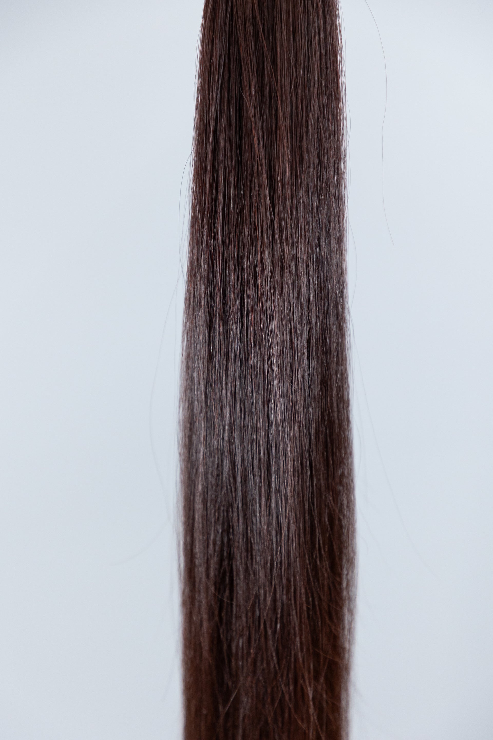 DARK BURGUNDY #10 European Virgin Remy Human Hair, Bulk